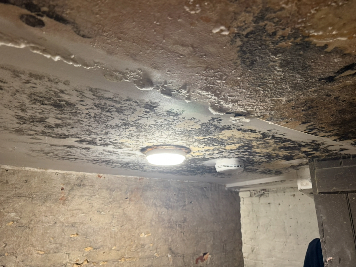 Condensation & Mould